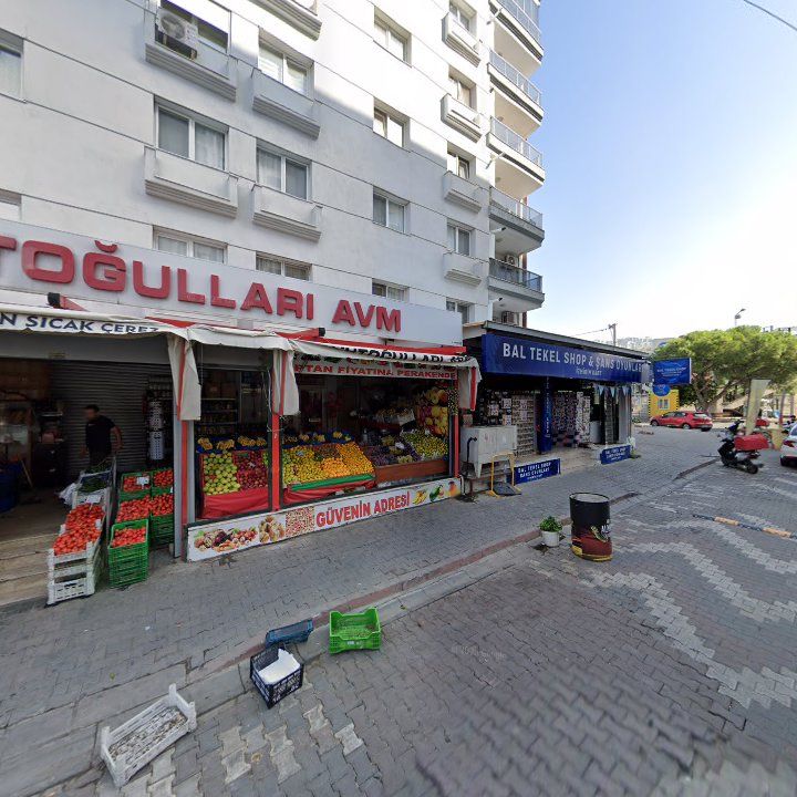 Fotoğraf 11
