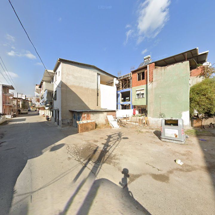 Fotoğraf 6