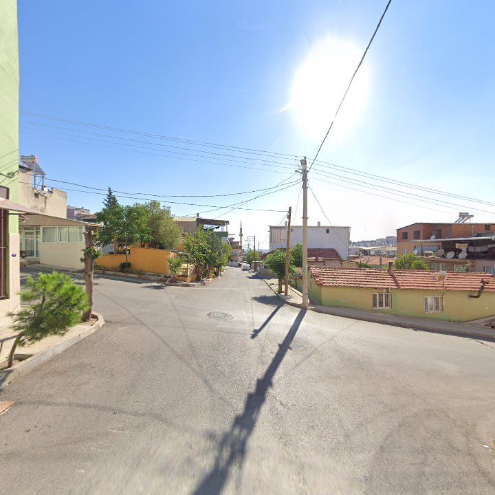 Fotoğraf 7