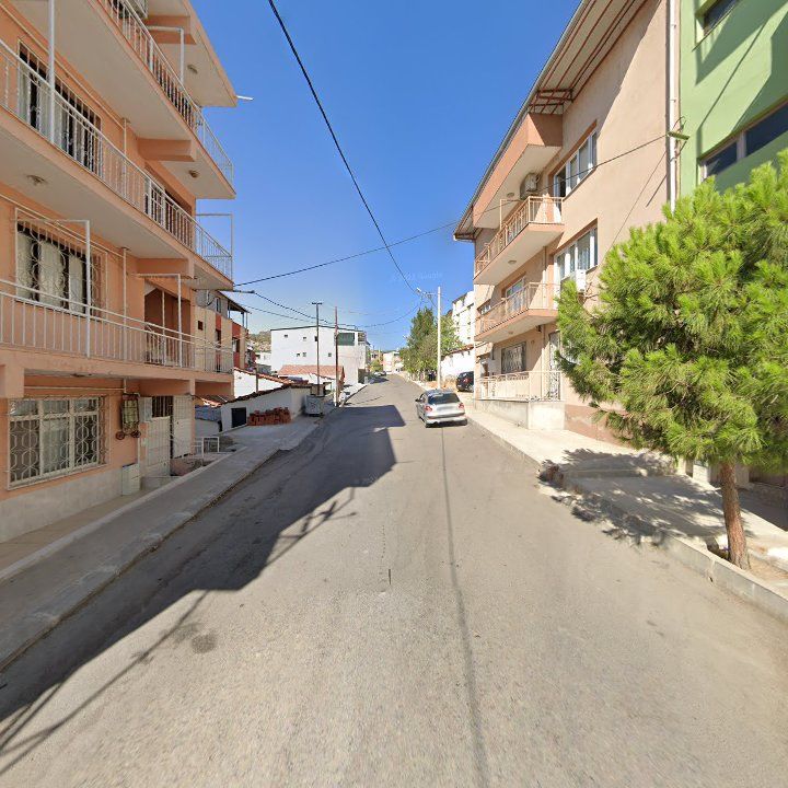 Fotoğraf 9