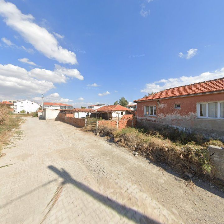 Fotoğraf 12