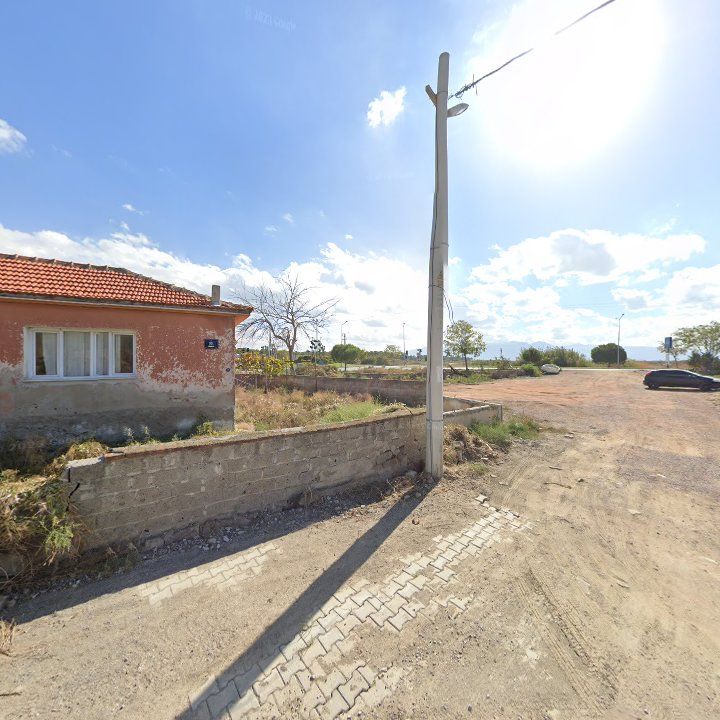 Fotoğraf 13