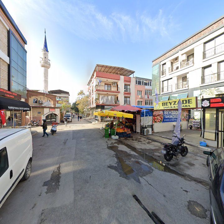 Fotoğraf 12
