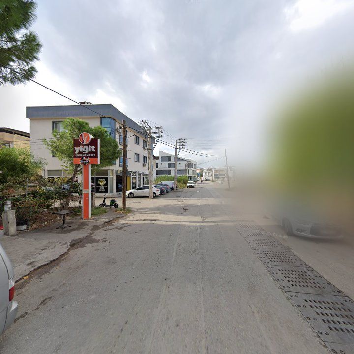 Fotoğraf 4