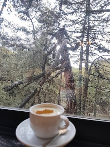 Yorum fotoğrafı 6