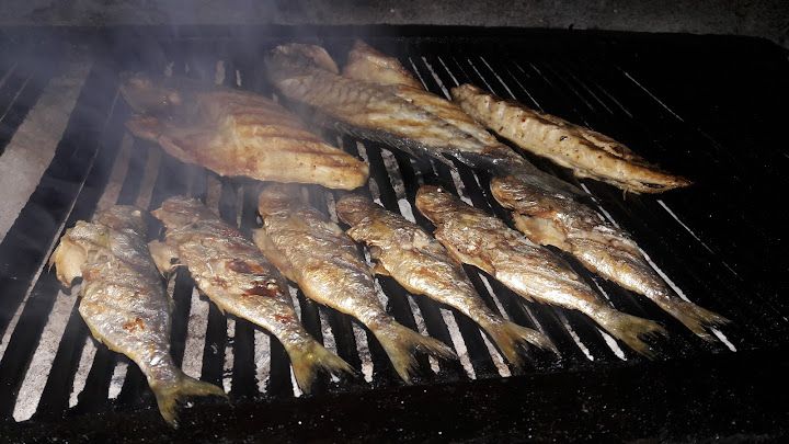 Fotoğraf 25
