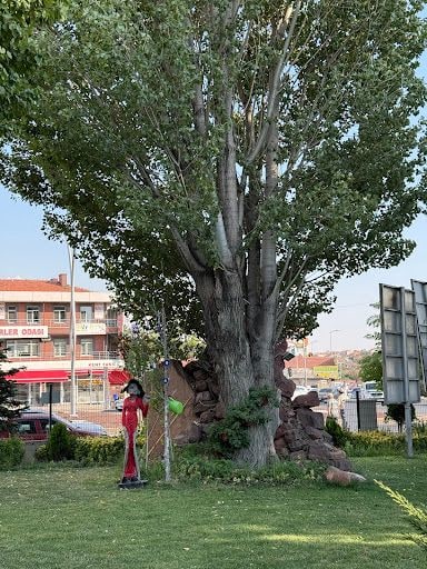 Yorum fotoğrafı 7