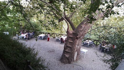 Yorum fotoğrafı 10
