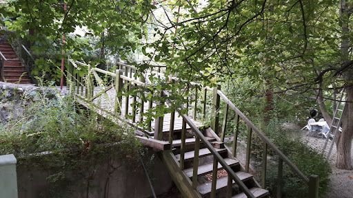 Yorum fotoğrafı 8