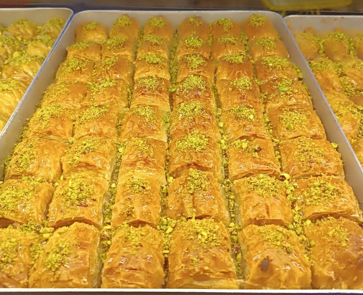 Fotoğraf 12