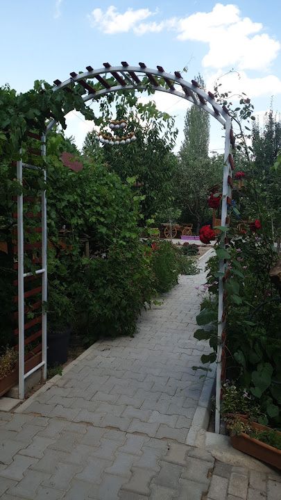 Yorum fotoğrafı 3