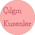 çılgın kuzenler