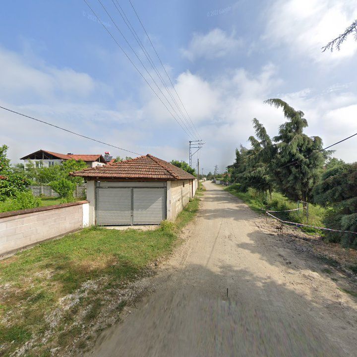 Fotoğraf 8