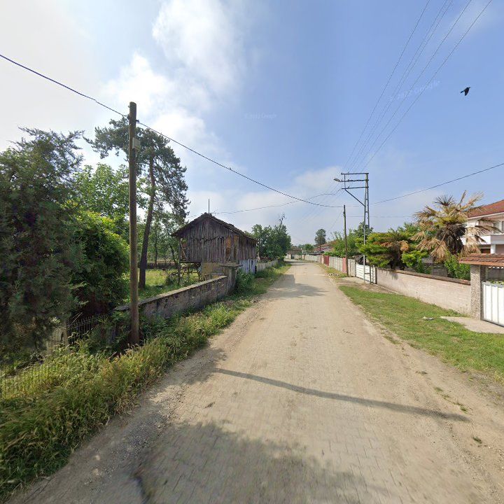 Fotoğraf 6