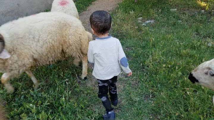 Fotoğraf 11