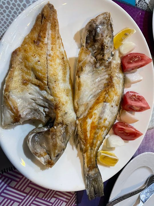 Fotoğraf 12