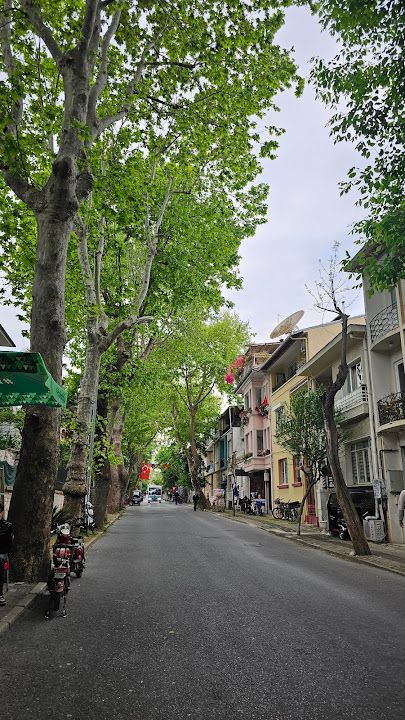 Fotoğraf 10