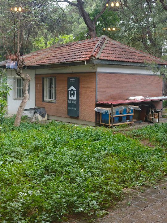 Fotoğraf 28