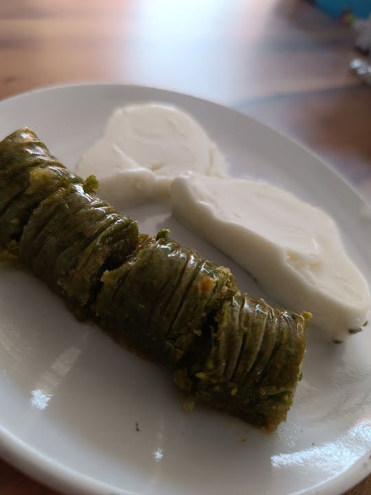 Fotoğraf 17