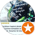 Çınar motorlu kurye