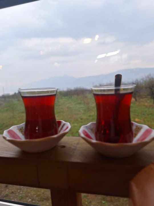 Fotoğraf 26
