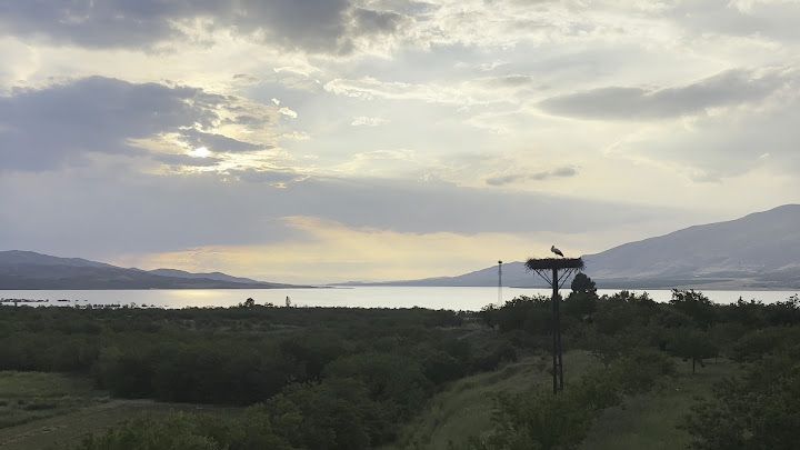 Fotoğraf 28