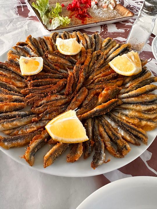 Yorum fotoğrafı 1