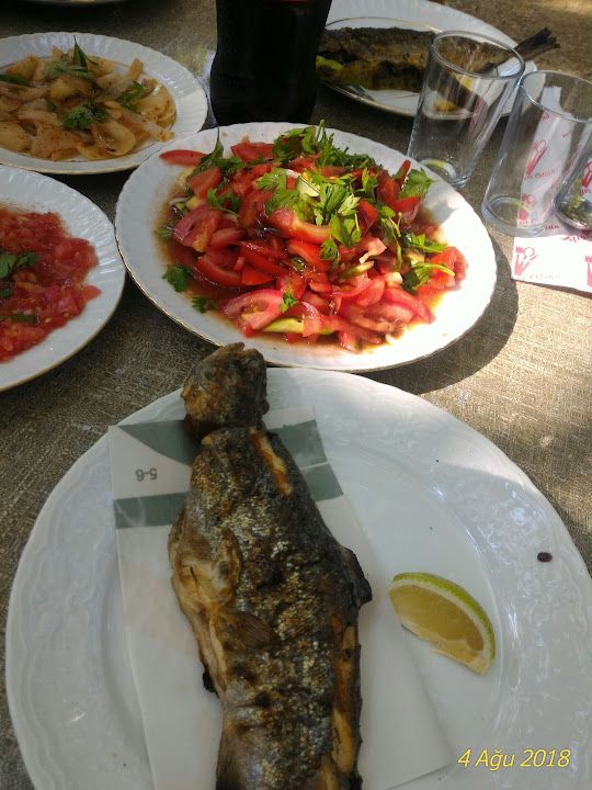 Fotoğraf 11