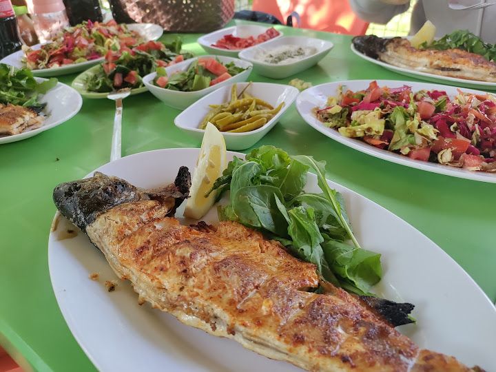 Fotoğraf 9