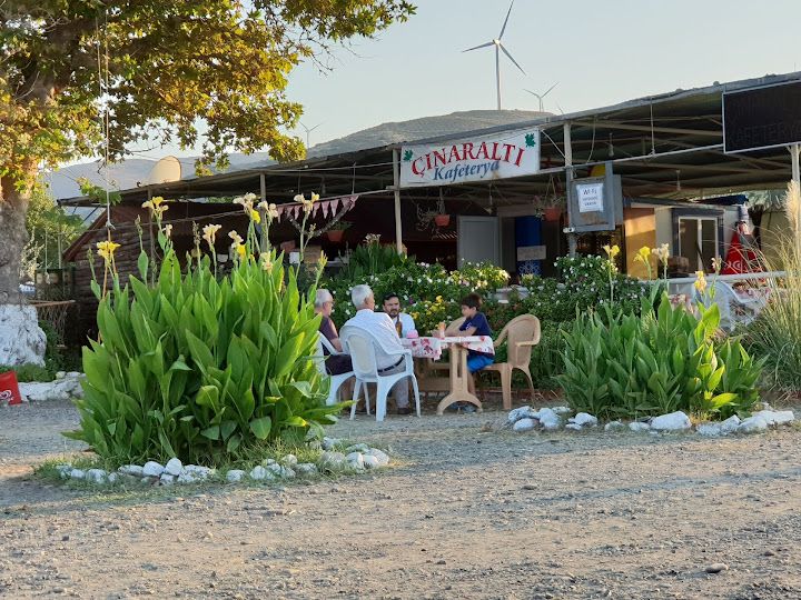 Fotoğraf 16