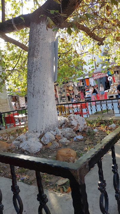 Yorum fotoğrafı 1