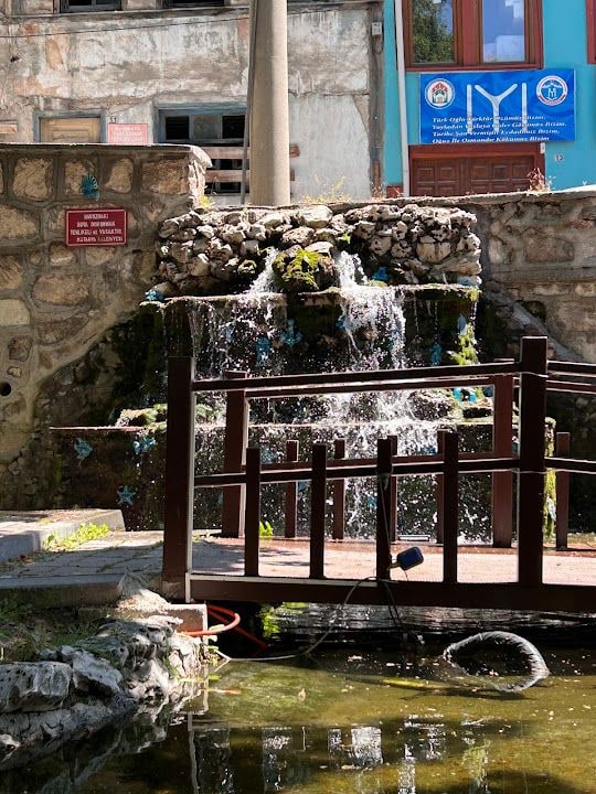 Yorum fotoğrafı 4