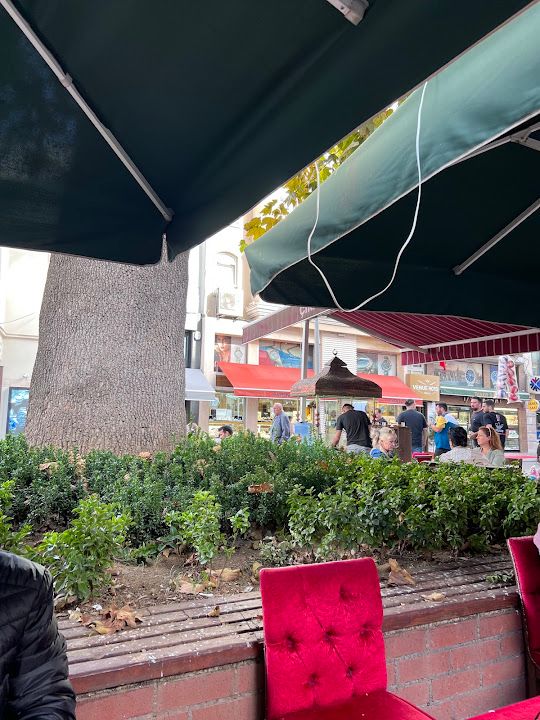 Yorum fotoğrafı 4
