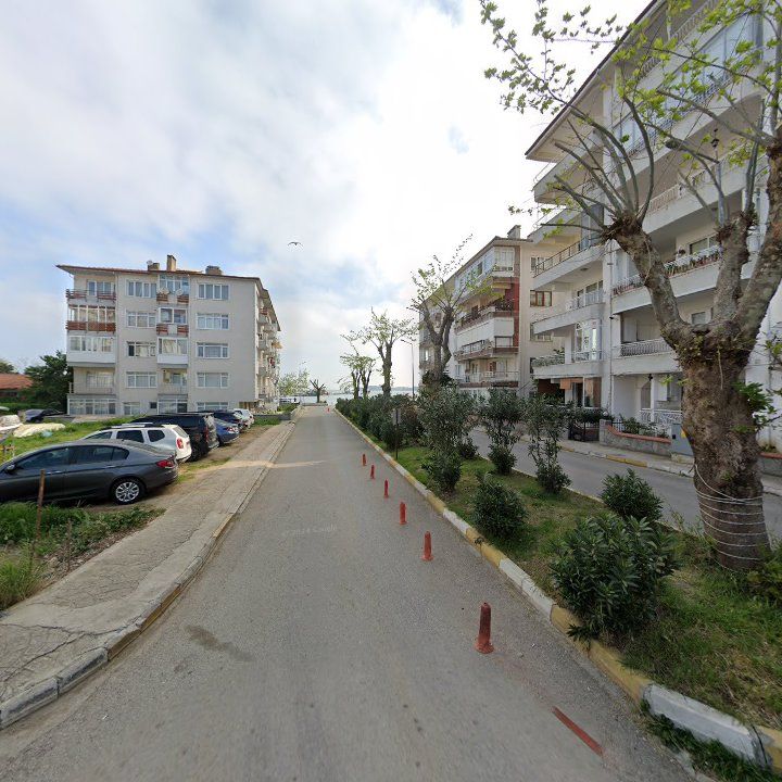 Fotoğraf 7