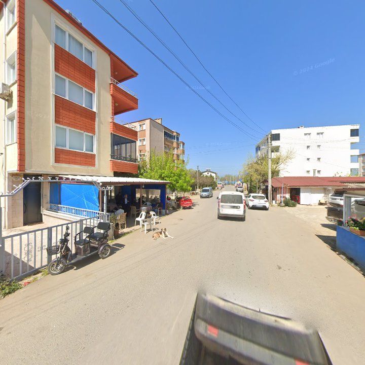 Fotoğraf 11
