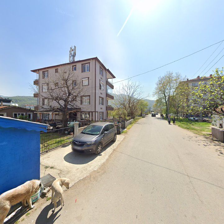Fotoğraf 9