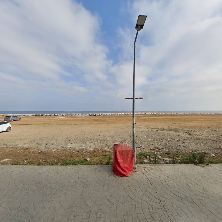 Fotoğraf 11