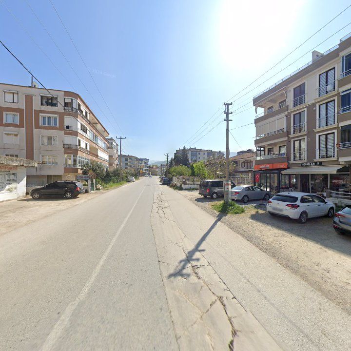 Fotoğraf 9