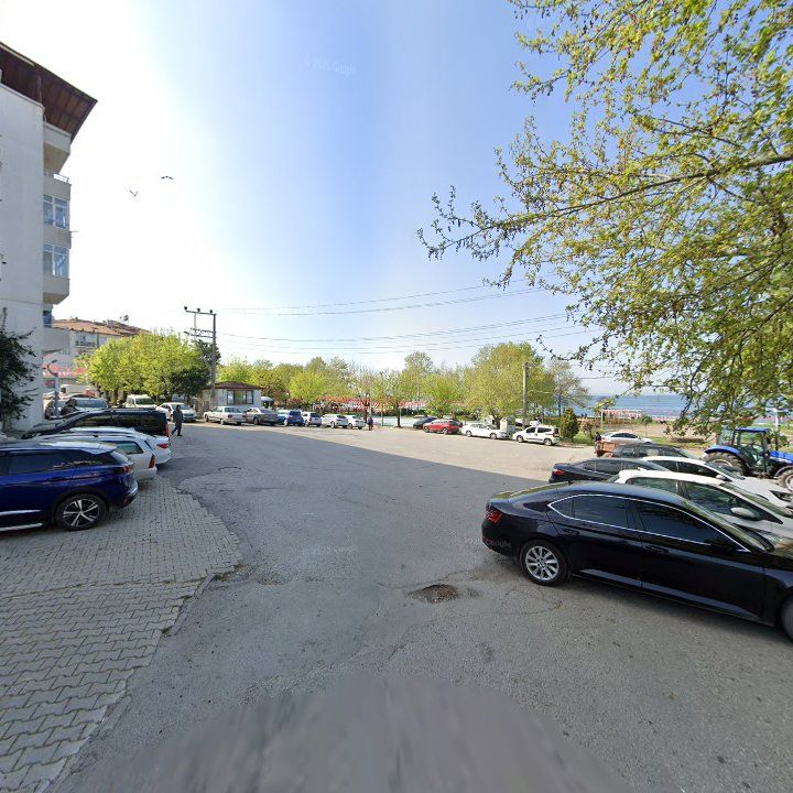 Fotoğraf 8