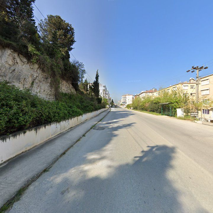 Fotoğraf 7