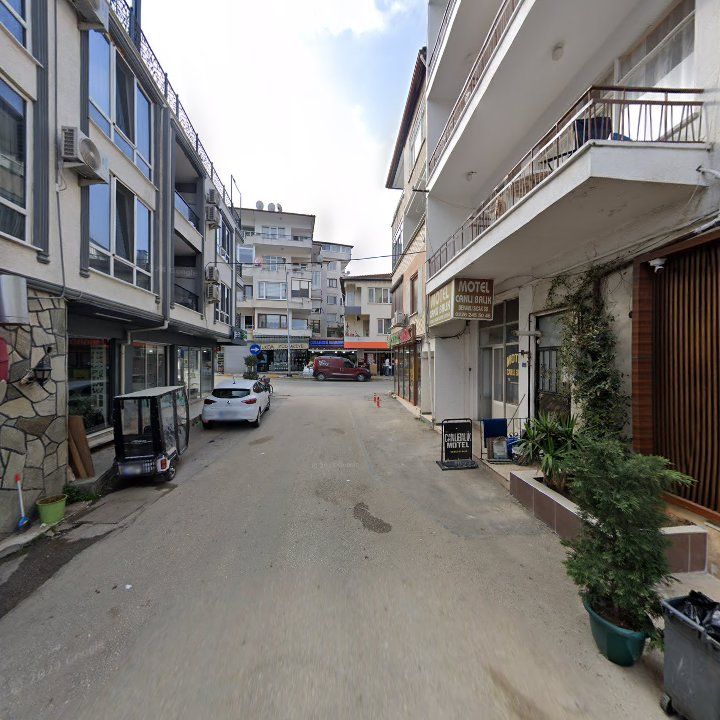 Fotoğraf 10