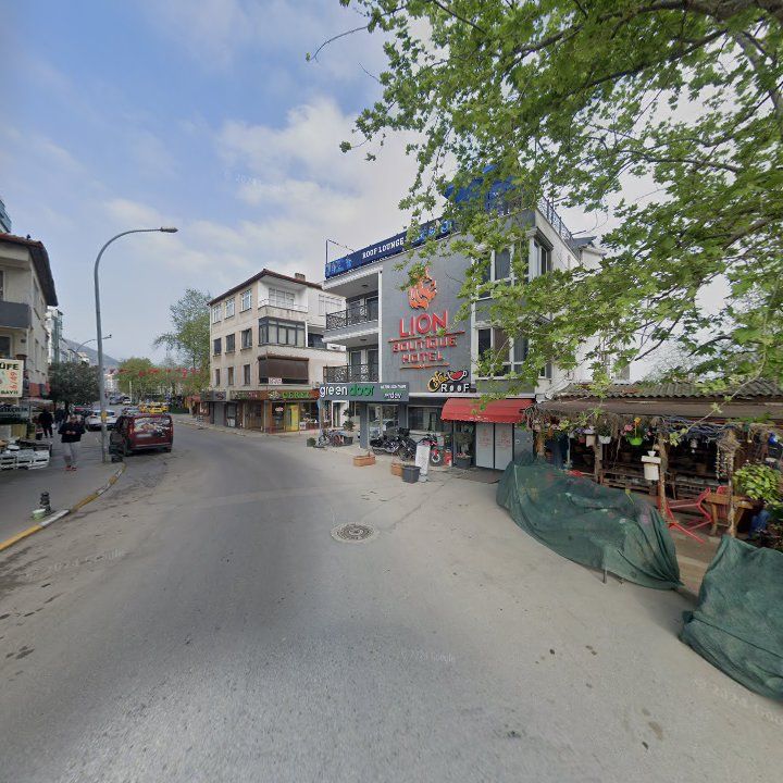 Fotoğraf 4
