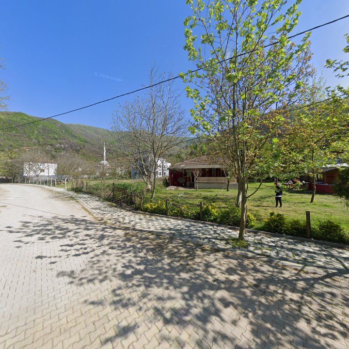 Fotoğraf 8