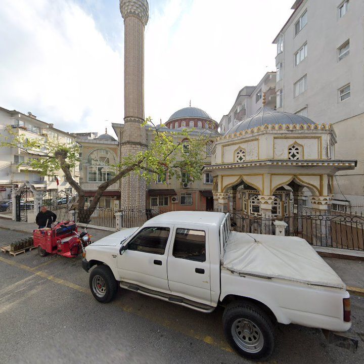 Fotoğraf 9