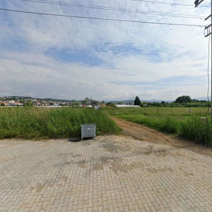 Fotoğraf 8