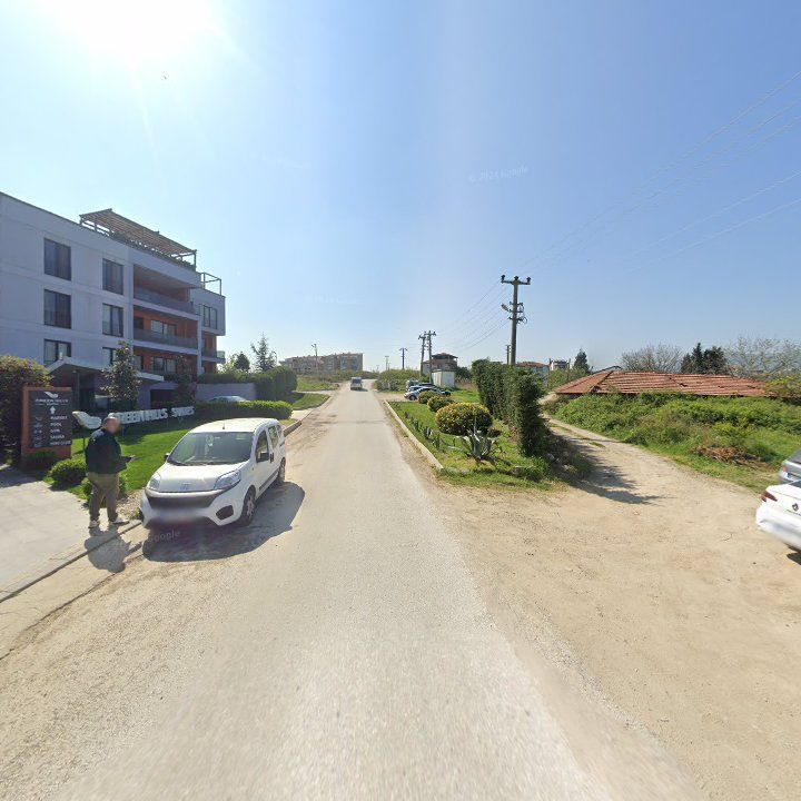 Fotoğraf 11