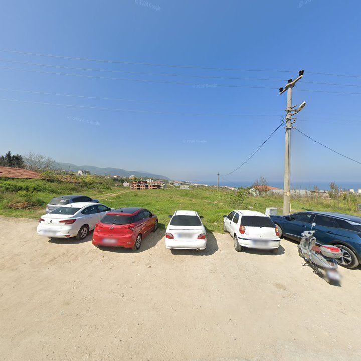 Fotoğraf 12