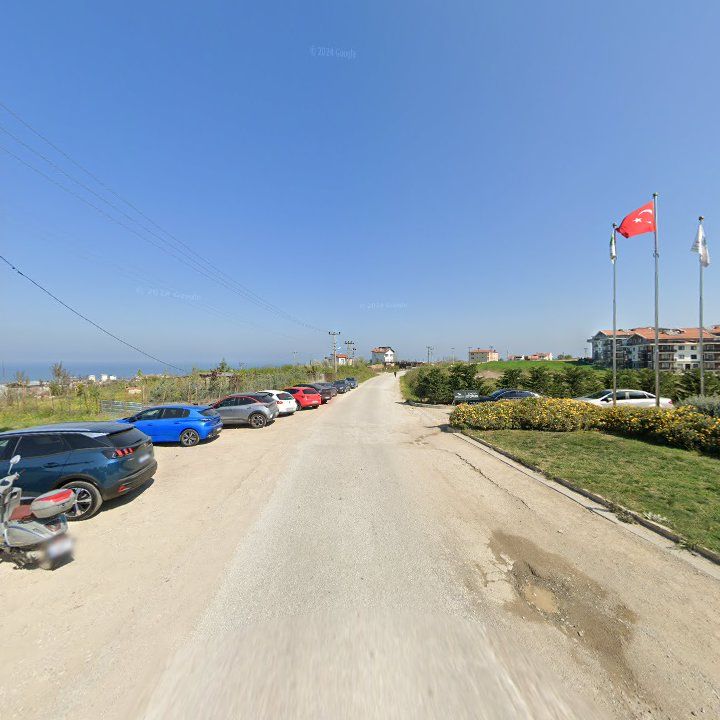 Fotoğraf 13