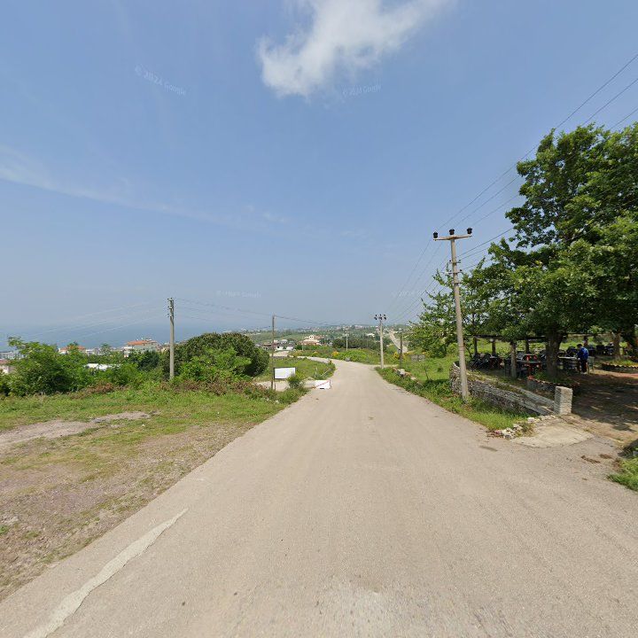 Fotoğraf 12