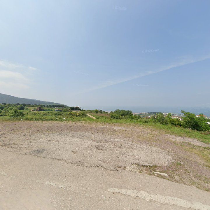 Fotoğraf 11